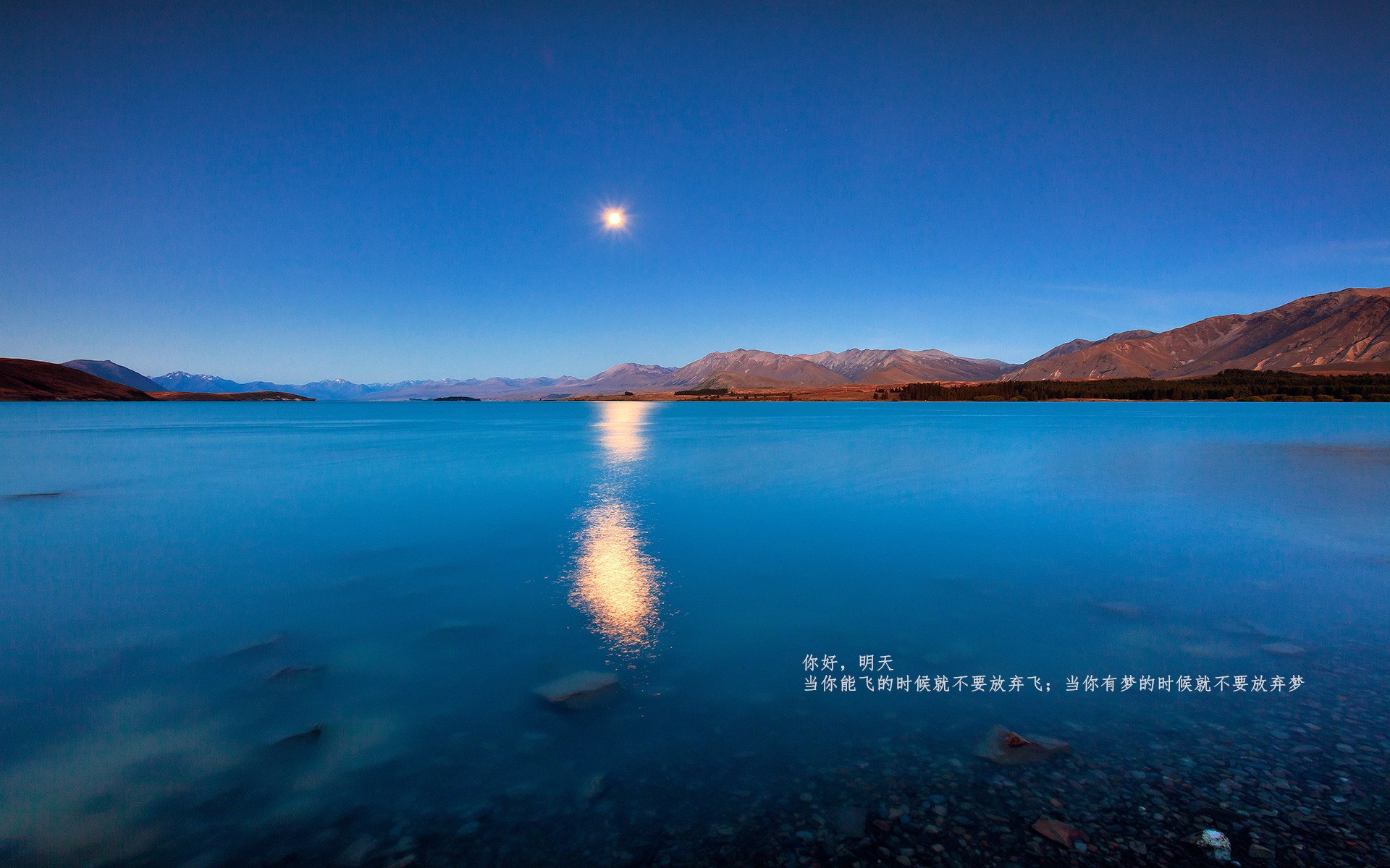 九游sports-_森林狼年轻队伍崭露头角，追梦季后赛_，森林狼目前阵容