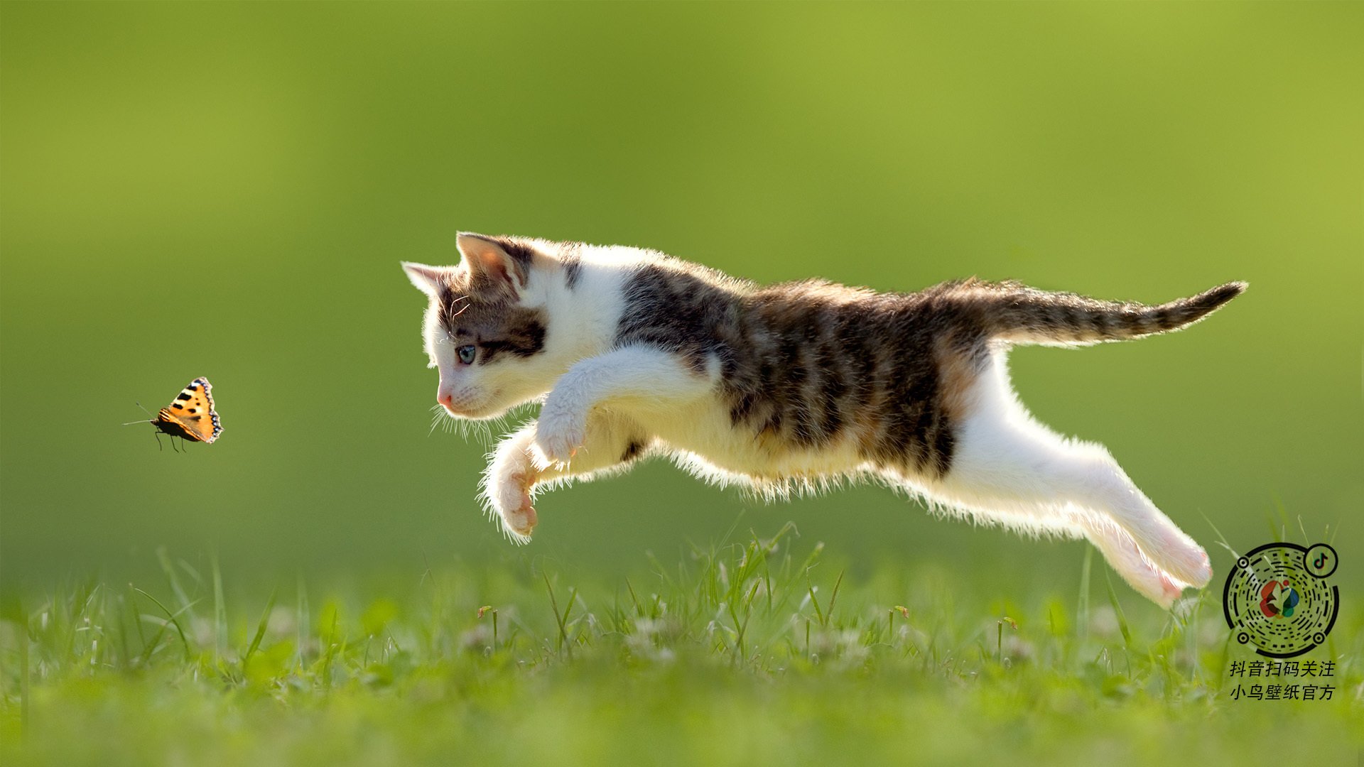 九游app官网下载-《虚拟职业联赛：电竞行业新型比赛形态探索》，虚拟竞技场