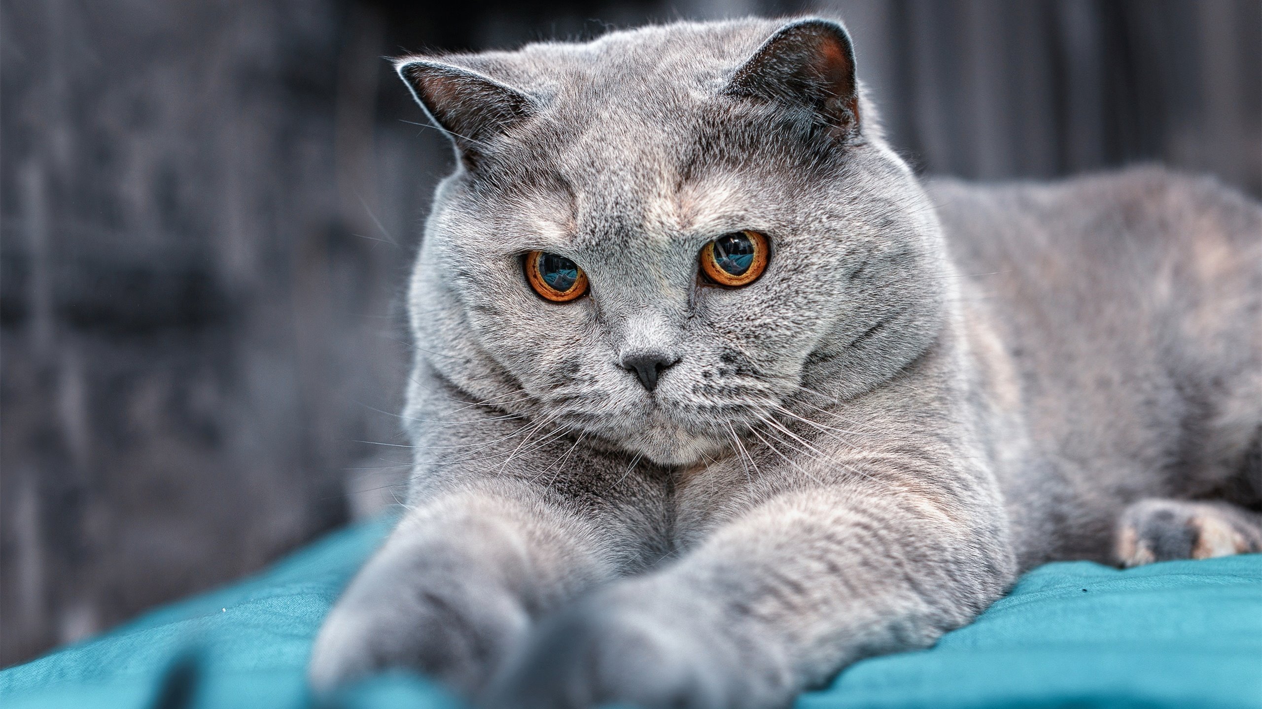 九游娱乐(jiuyou)官方网站-全国青少年“绿色行动”篮球公益赛在青海拉开帷幕，倡导环保运动