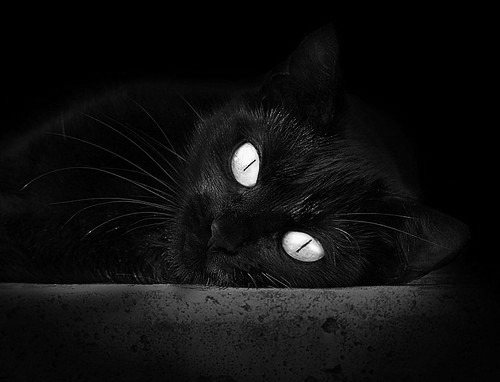 九游网-季后赛前瞻：一场场激烈角逐期待不断升温，季后赛分析