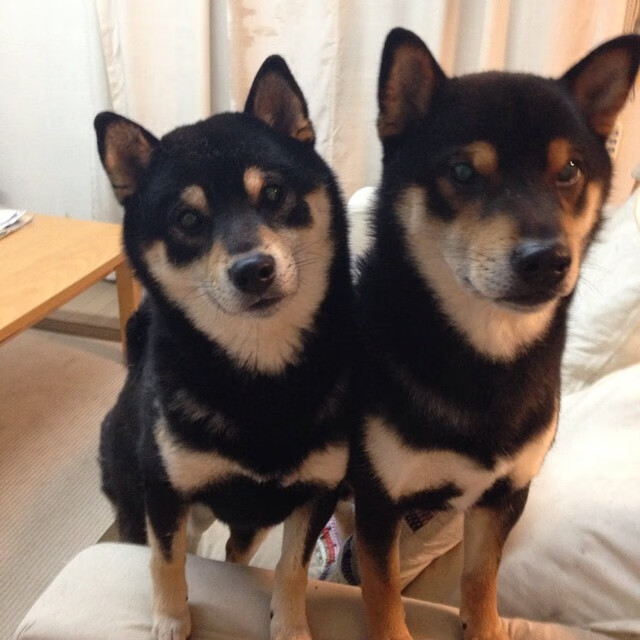 法国队小组末战崩盘，惨遭逆转，法国队coman