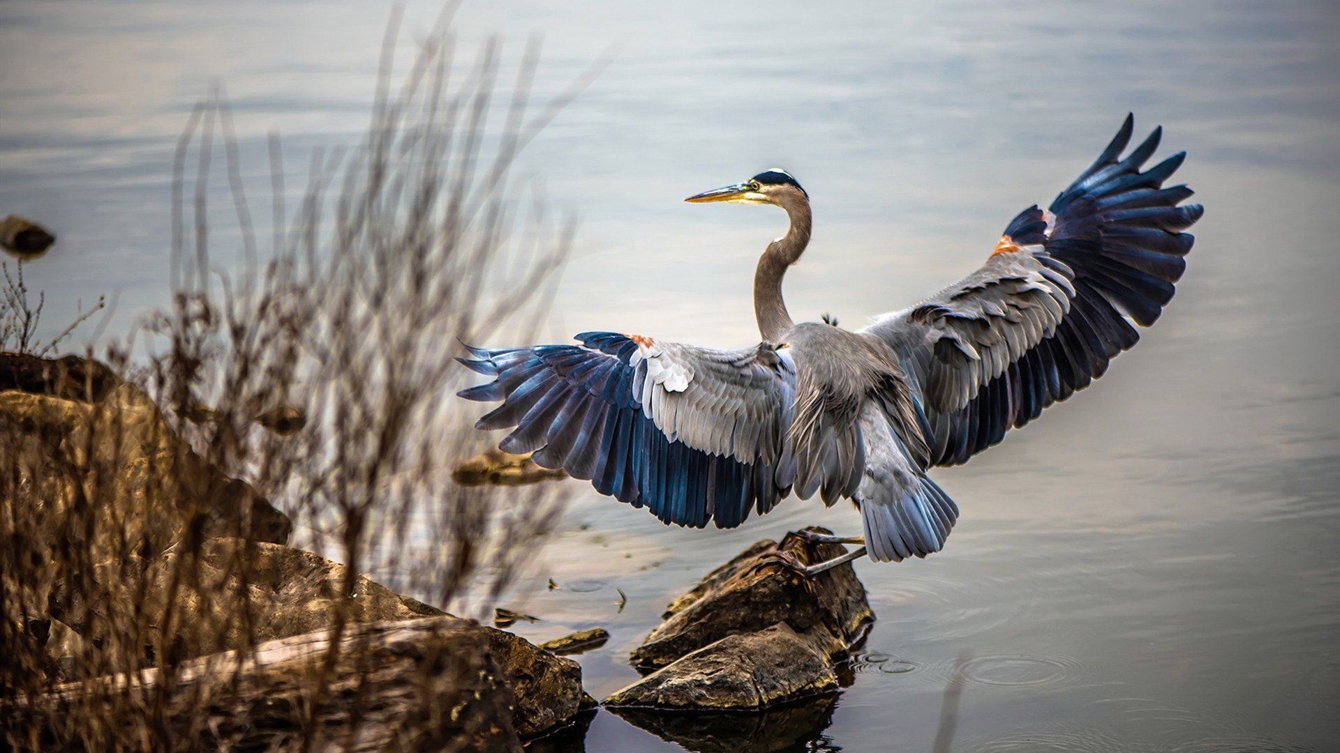 法甲台前幕后自成体系,打造高水平职业联赛,法甲 水平