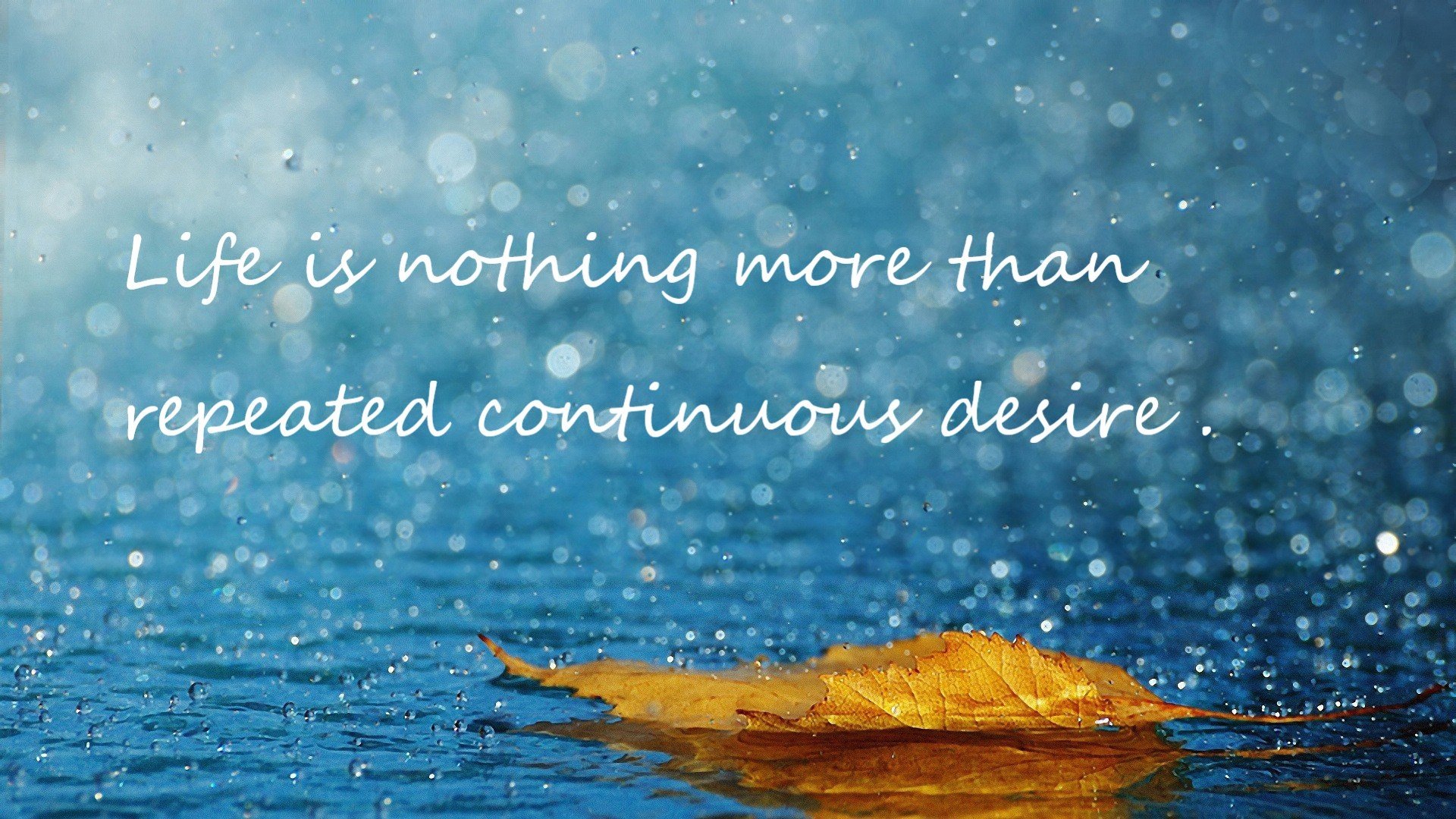 逆境成长:伤病困扰中的复苏奇迹,逆境成长有什么好处