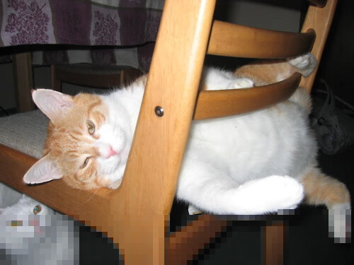 逆境之中:专项战术让车队逆转局势,逆转困境