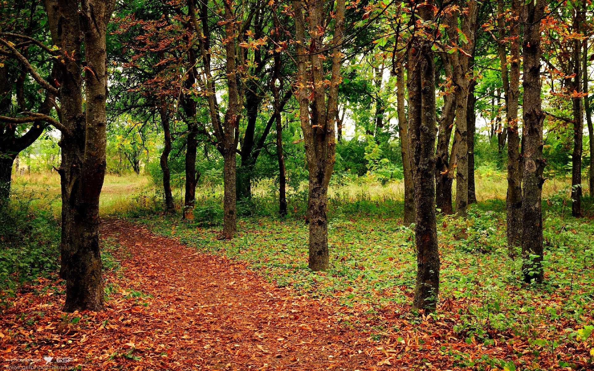 九游下载官网-马德里竞技连败，出线形势堪忧，马德里竞技的比赛