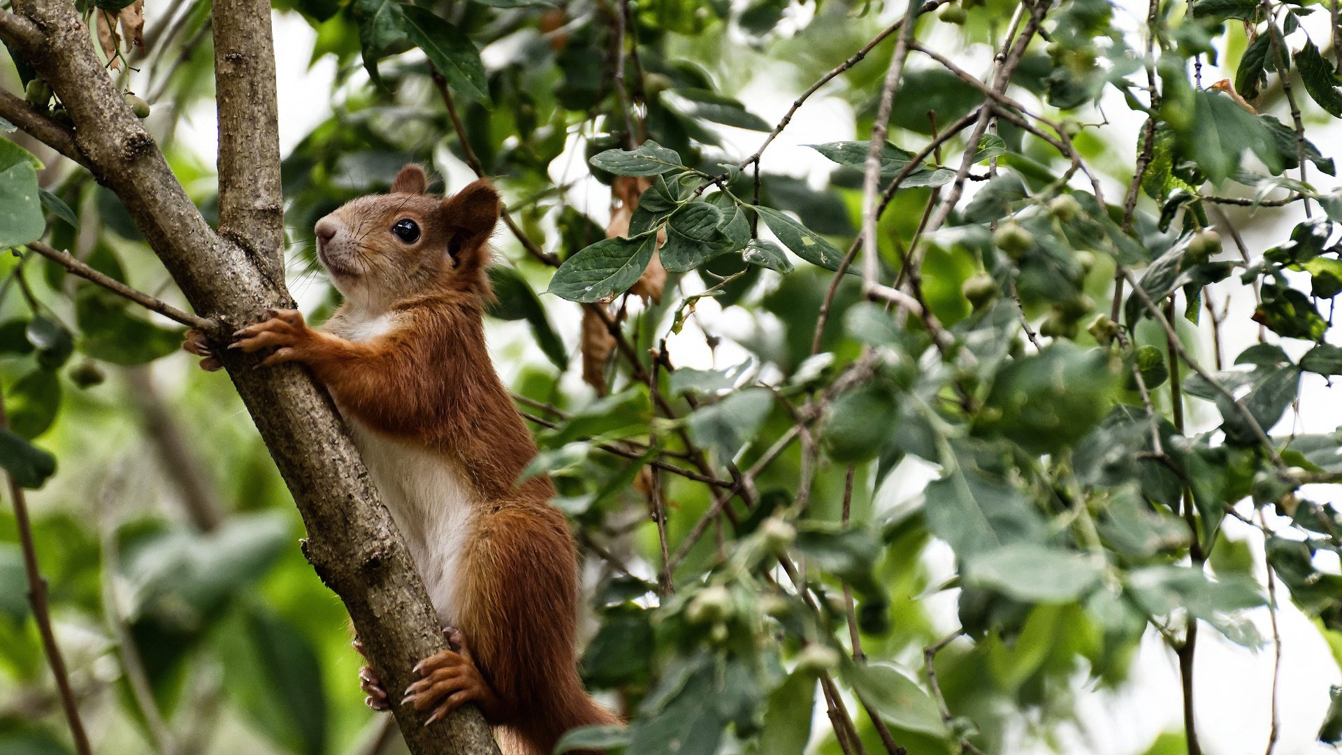 九游娱乐-劲旅互搏！比赛如火如荼，双方你来我往，劲旅网创始人