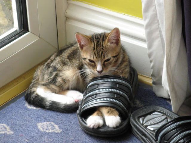 九游登录入口-国足临阵变阵显奇效，战术思路更灵活，国足局势