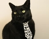 德国男子67公斤级举重选手在决赛中获得银牌，德国举重冠军再婚