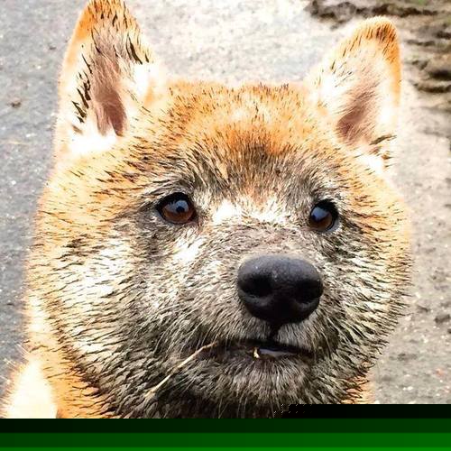 九游娱乐-滕哈赫续约曼联，继续执教，滕哈格执教风格