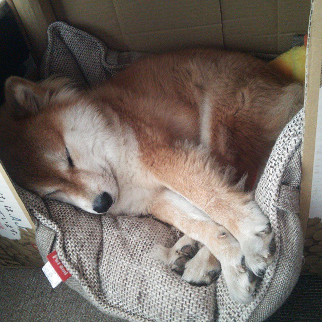 九游登录入口-长春亚泰客场告捷，保级压力减轻，长春亚泰新消息