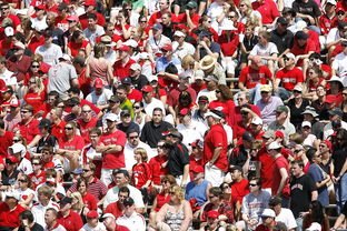 JIU YOU GAME-高校体育赛事观众体验提升策略研究，体育赛事审美体验