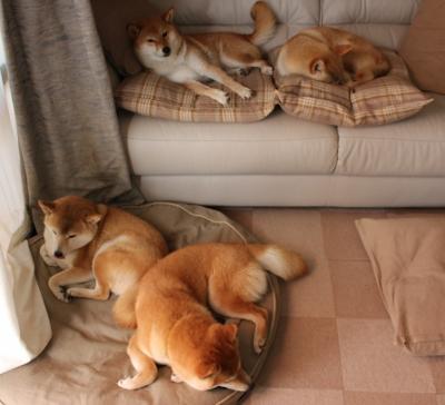 体育新闻中心持续拓展国际合作版图，国际体育比赛新闻