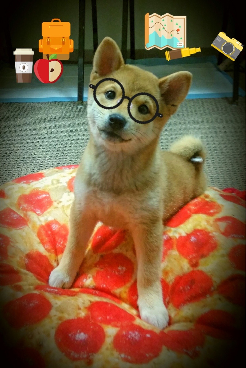 九游娱乐官网 (JIUYOU)-“马丁·高尔西：阿根廷橄榄球的新兴力量，助美洲狮队破局”