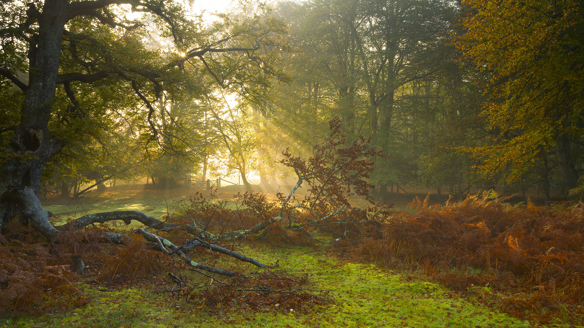 九游娱乐(jiuyou)官方网站-战术执行细节果断，如 power play 抢攻效率高，战术抢跑