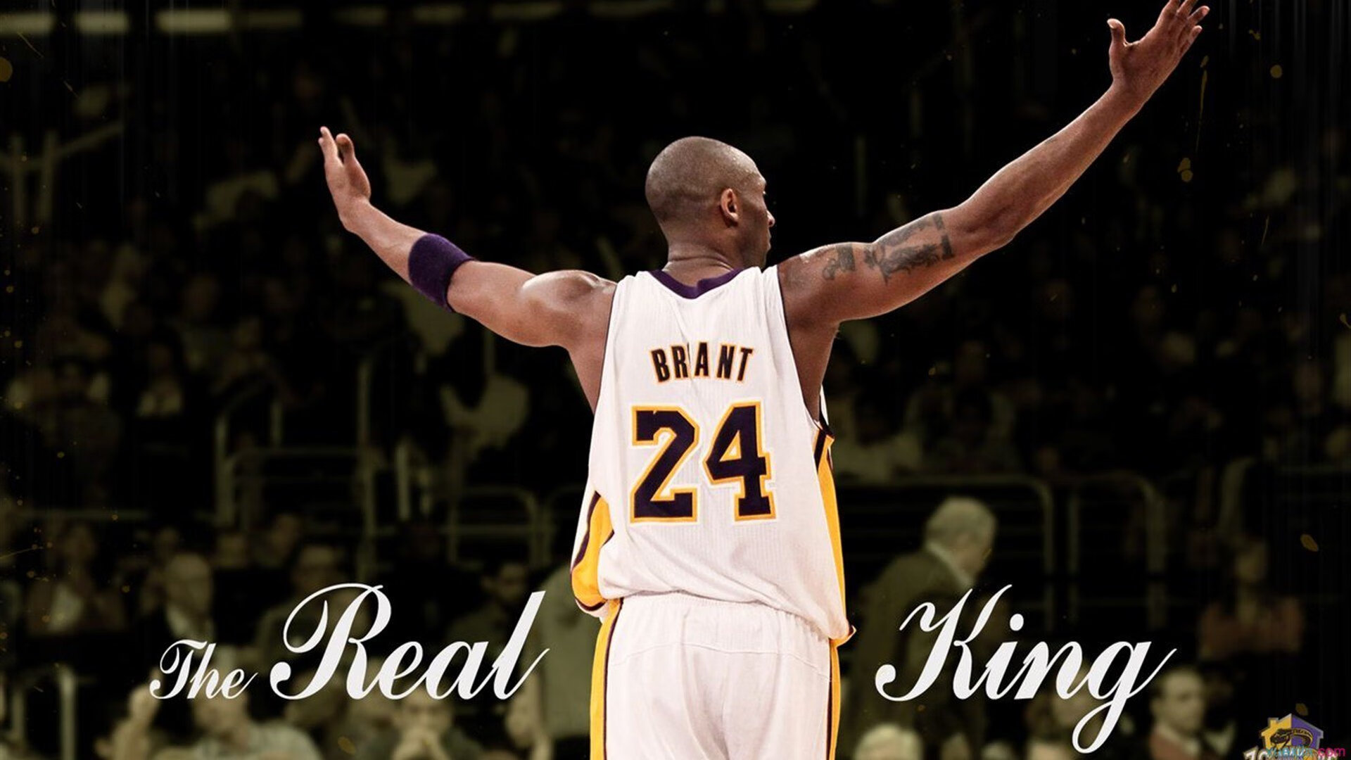 “传奇巨星:乔丹、科比的经典瞬间大集合”,科比跟乔丹打拿55分